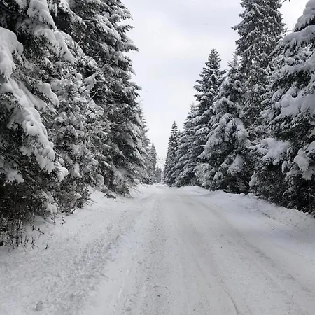 Velo Lägenhet Czorsztyn